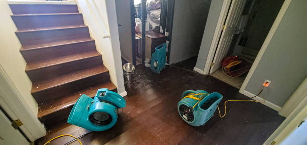 Water damage restoration process in CO
