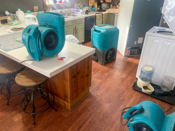 Best Local water damage restoration  in Evans, CO