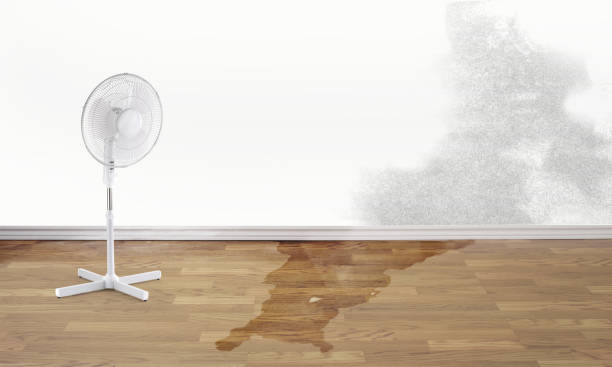  Evans, CO Water damage restoration Pros
