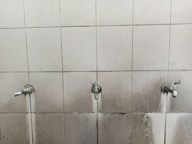 Best Residential water damage restoration  in Evans, CO